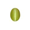 Cats Eye Gemtone - Oval Shape 5.84 Carat