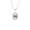Moissanite White Gold Pendant - Emerald Cut 1.23 Carat